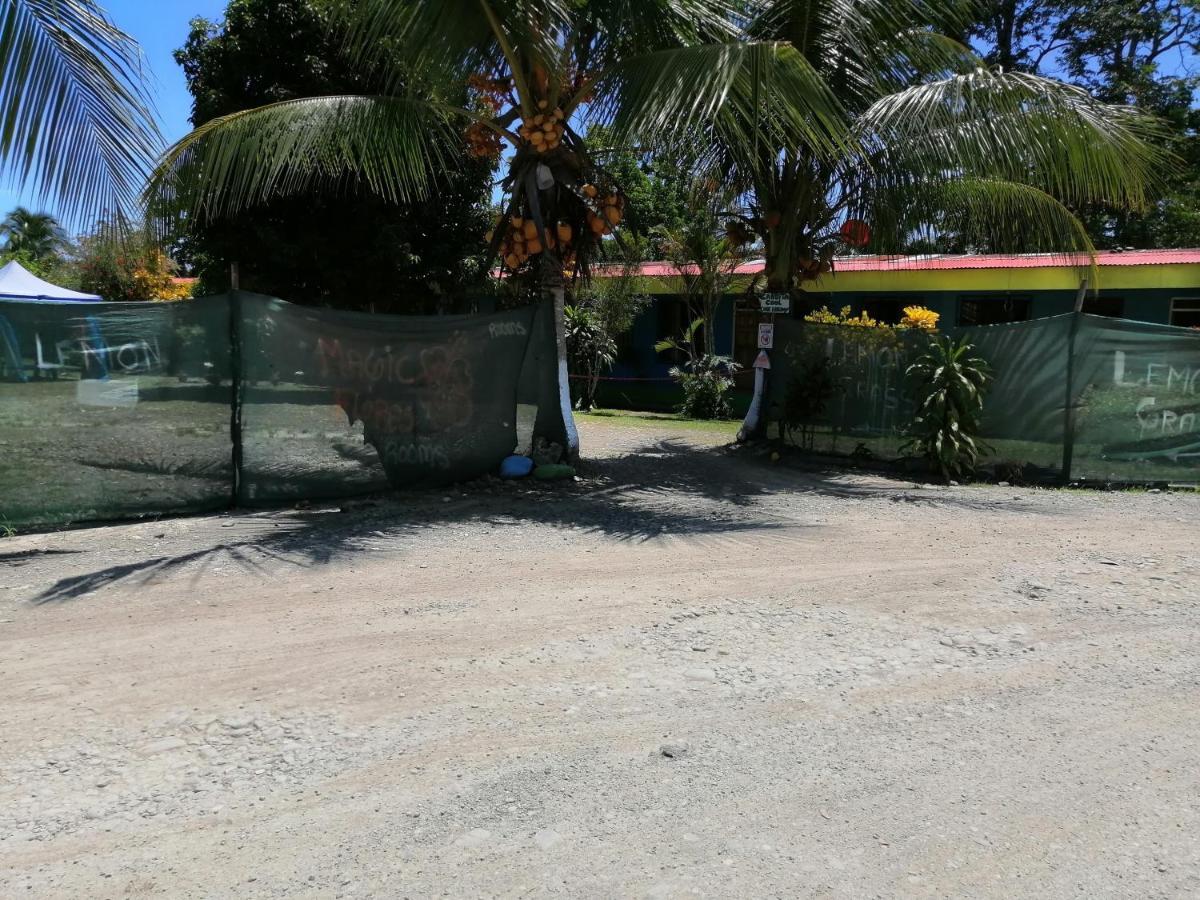 Magic Flower Rooms Cahuita Exterior photo